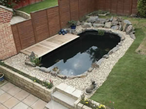 Koi Pond installed by F.Searle Builders & Contractors